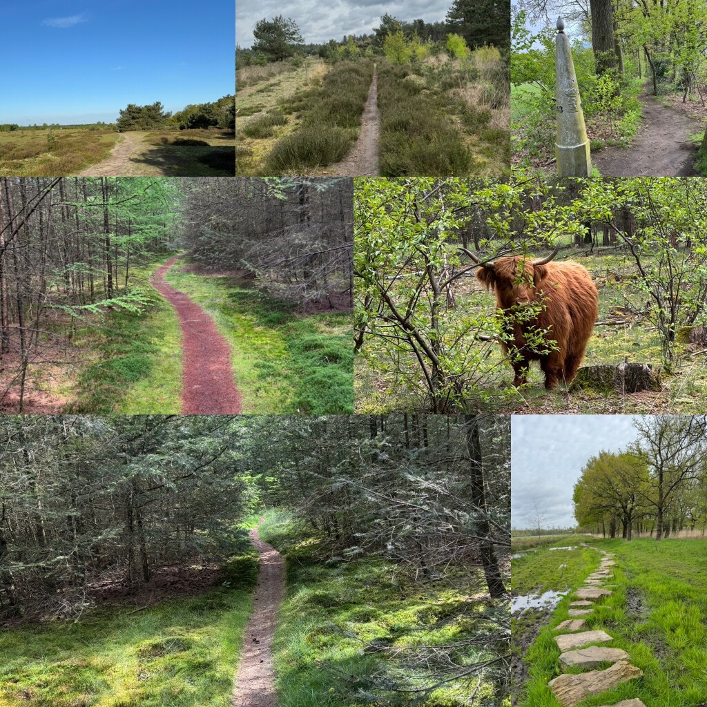 Soerendonk - Venbergse Molen · Brabants Vennenpad etappe 7