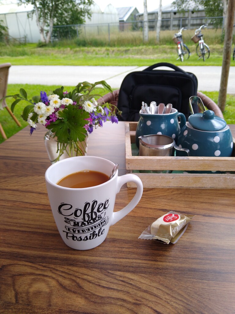 De Ster van Dwingeloo