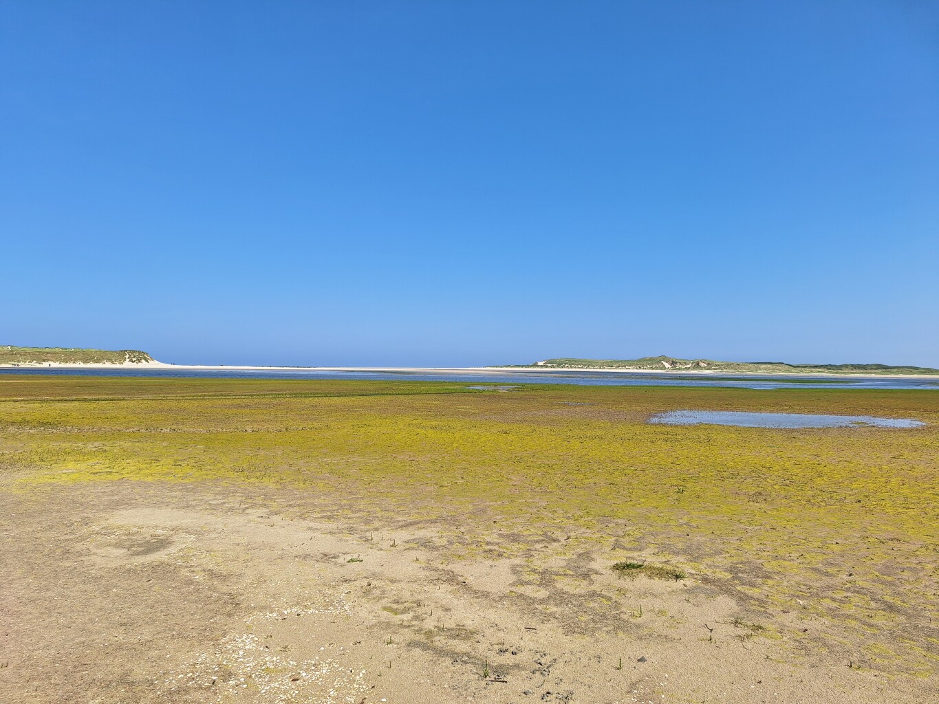 Struinen door Texelse duinen