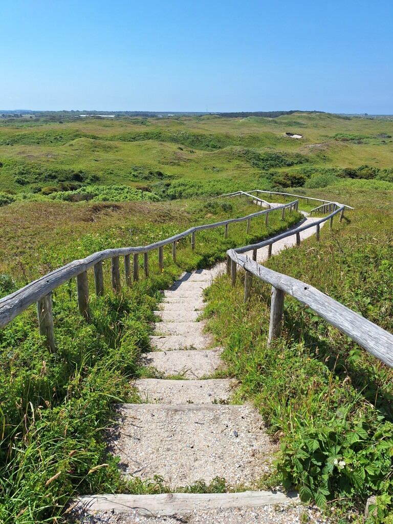 Struinen door Texelse duinen