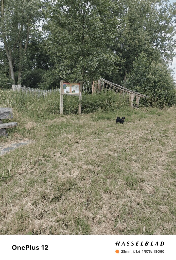 Hilvarenbeek - Oisterwijk · Brabants Vennenpad etappe 12