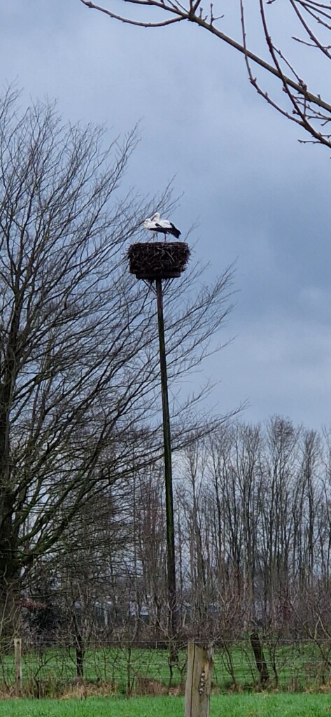 Oene Klompenmakerspad