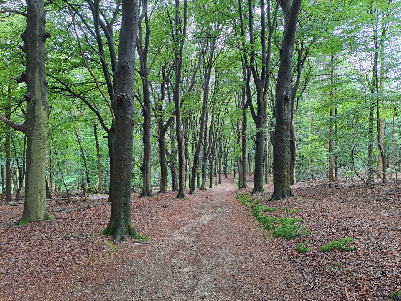 Leersum - Amerongen · Utrechtpad etappe 4