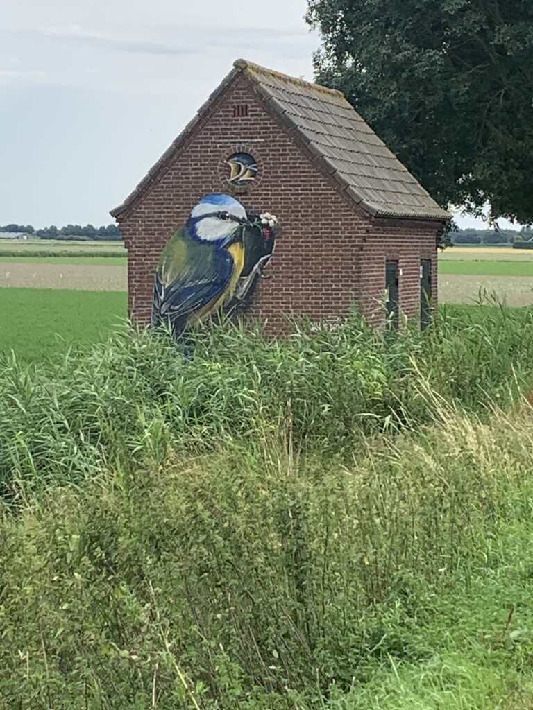 Steenbergen - Dinteloord · Zuiderwaterliniepad etappe 2