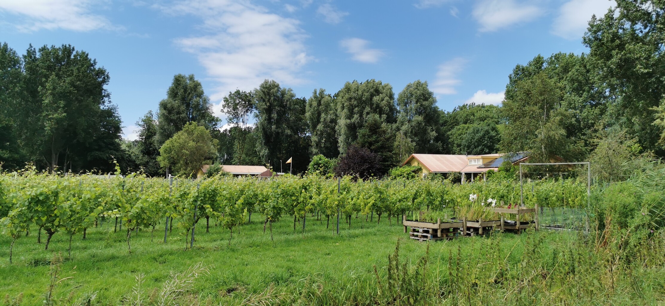 Rondje De Zwarte Kat (blauw)