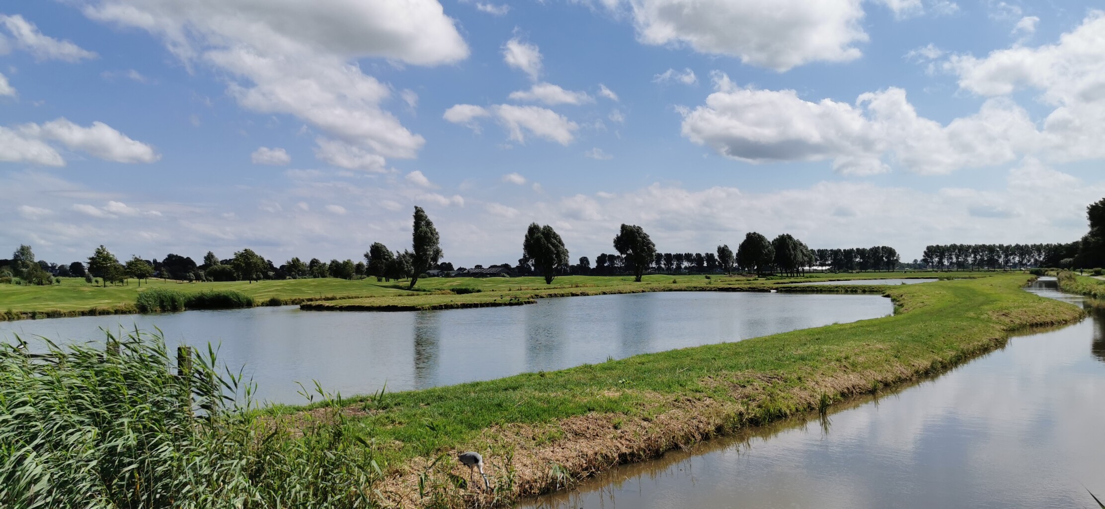 Rondje De Zwarte Kat (blauw)