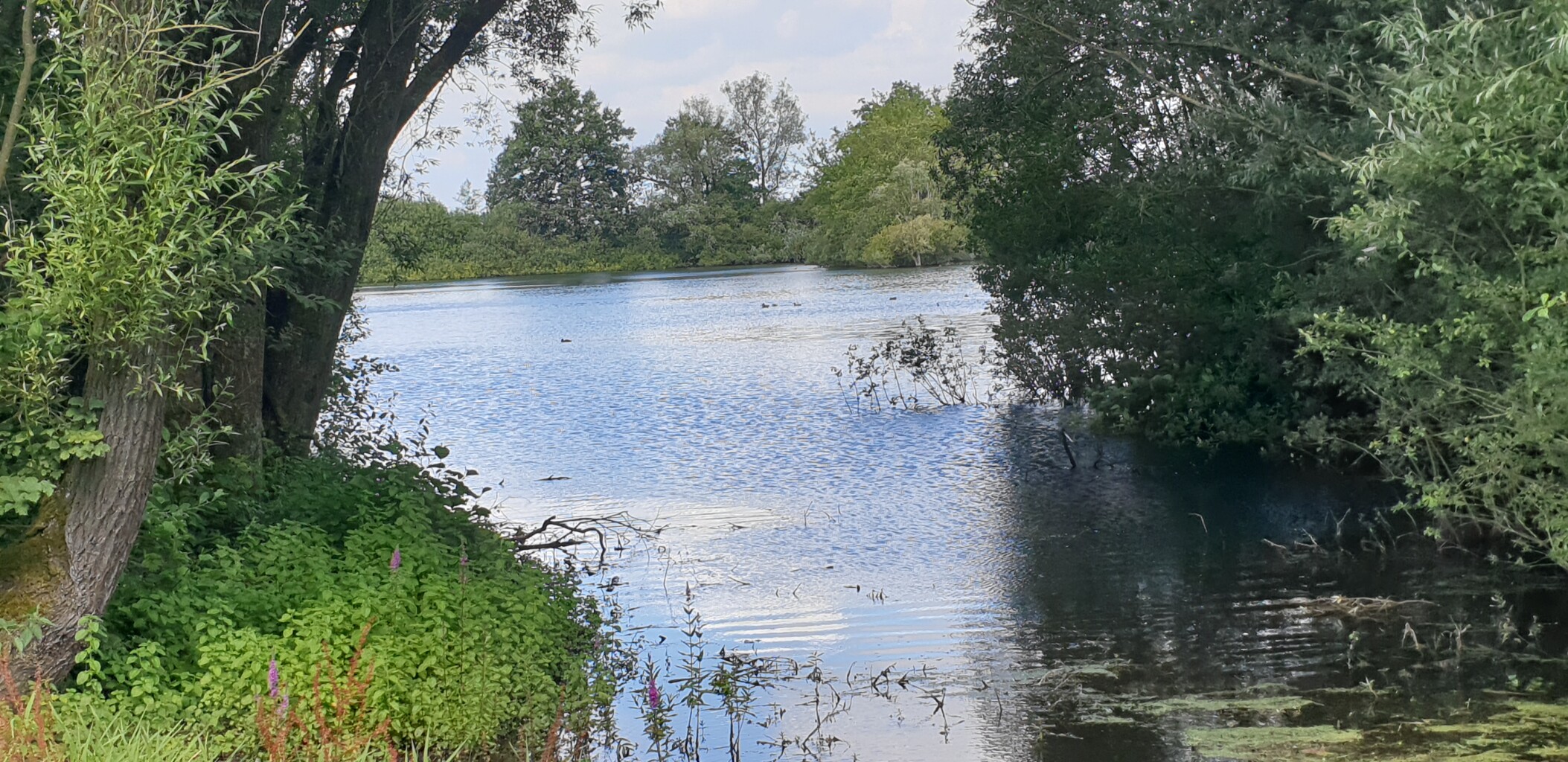 Buren (bushalte Plantsoen) - Station Geldermalsen · Betuwepad etappe 2