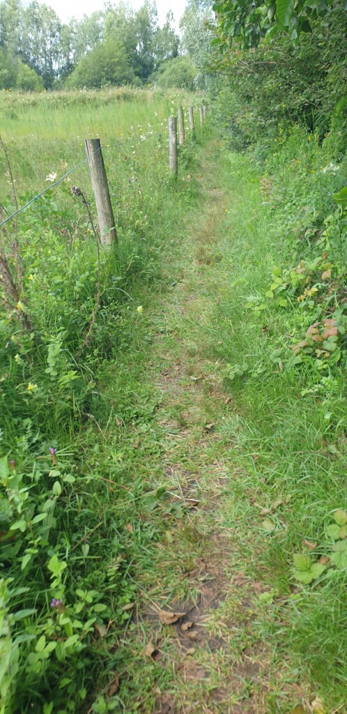Buren (bushalte Plantsoen) - Station Geldermalsen · Betuwepad etappe 2