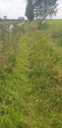 Buren (bushalte Plantsoen) - Station Geldermalsen · Betuwepad etappe 2