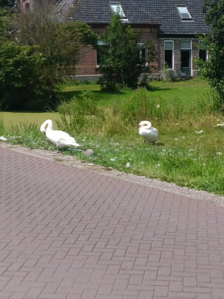 Bobeldijkroute (paars)