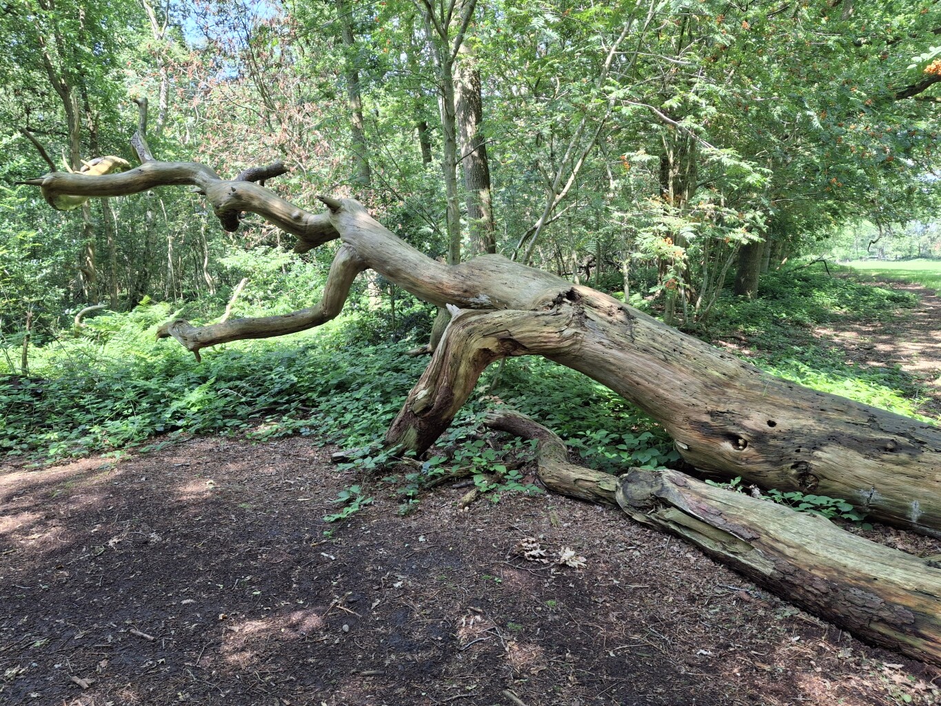 Veel variatie in een klein gebied (BoZ)