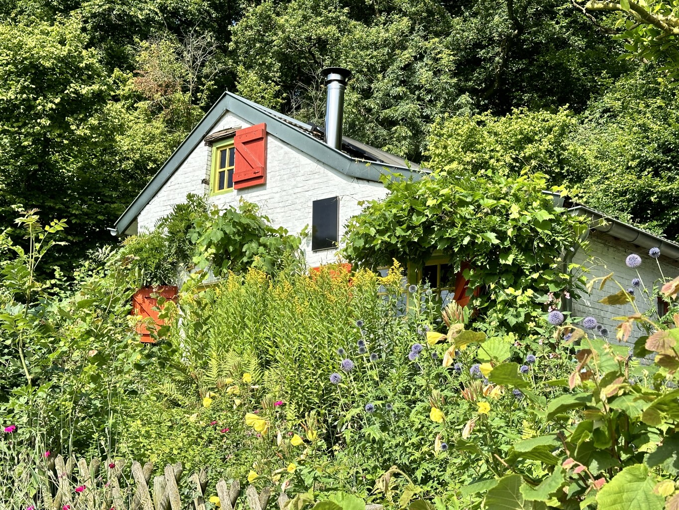 Gulpen - Mheer · Dutch Mountain Trail etappe 3