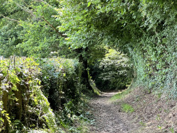 Gulpen - Mheer · Dutch Mountain Trail etappe 3