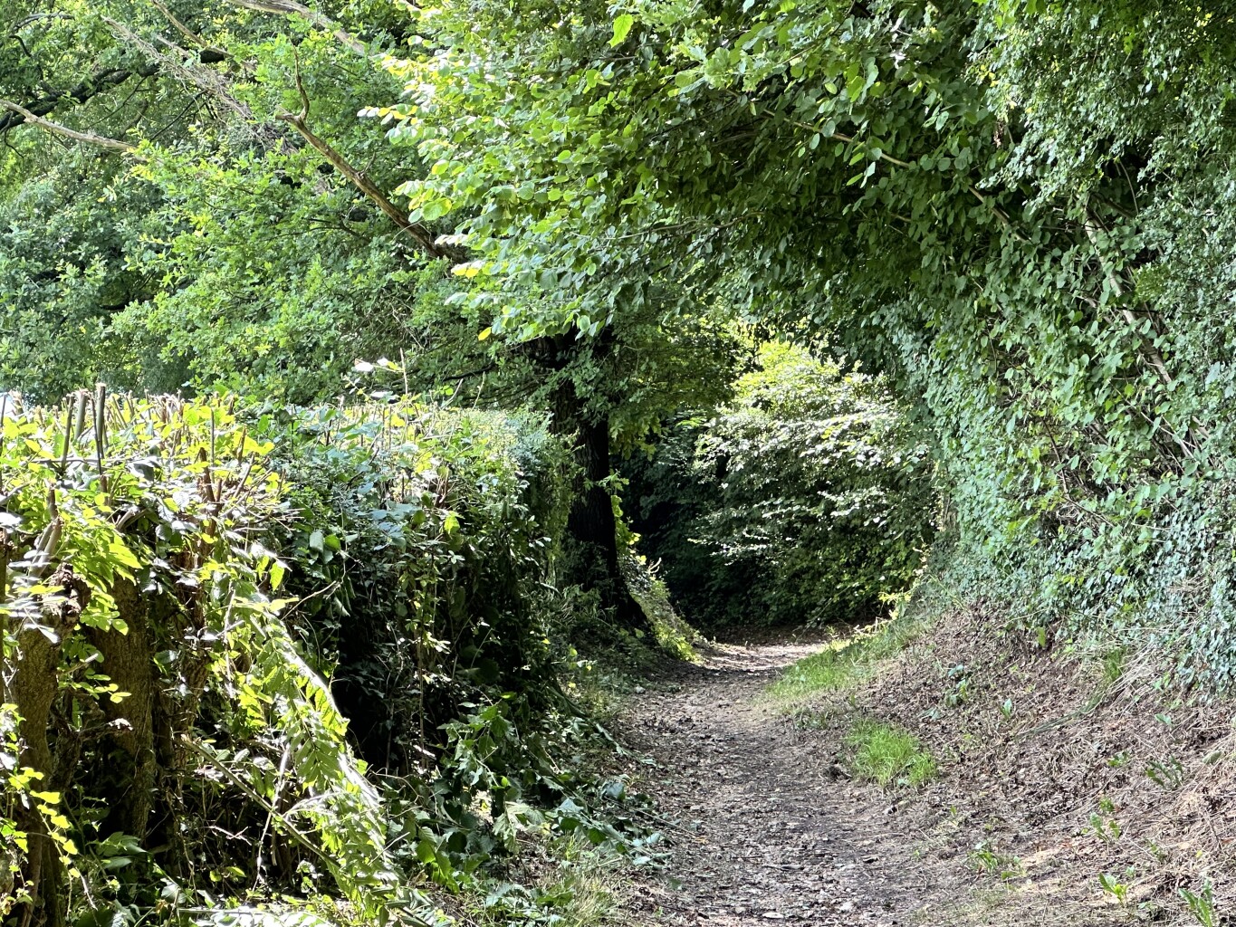 Gulpen - Mheer · Dutch Mountain Trail etappe 3