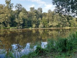 Stienteroute Voorsterbos, bij Kraggenburg