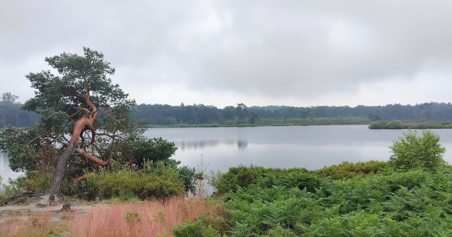 Airbornepad Market Garden - 04 · Airbornepad etappe 4