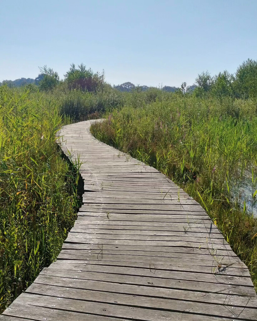 Airbornepad Market Garden - 06 · Airbornepad etappe 6