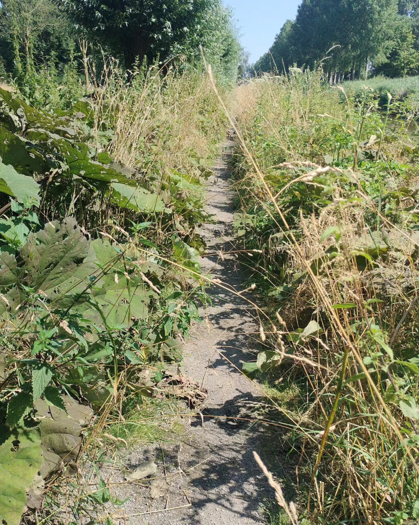 Airbornepad Market Garden - 07 · Airbornepad etappe 7