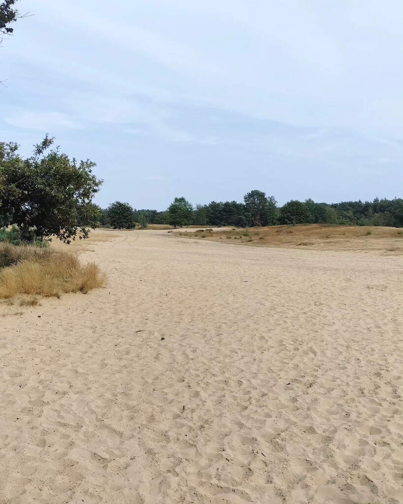 Airbornepad Market Garden - 12 · Airbornepad etappe 12