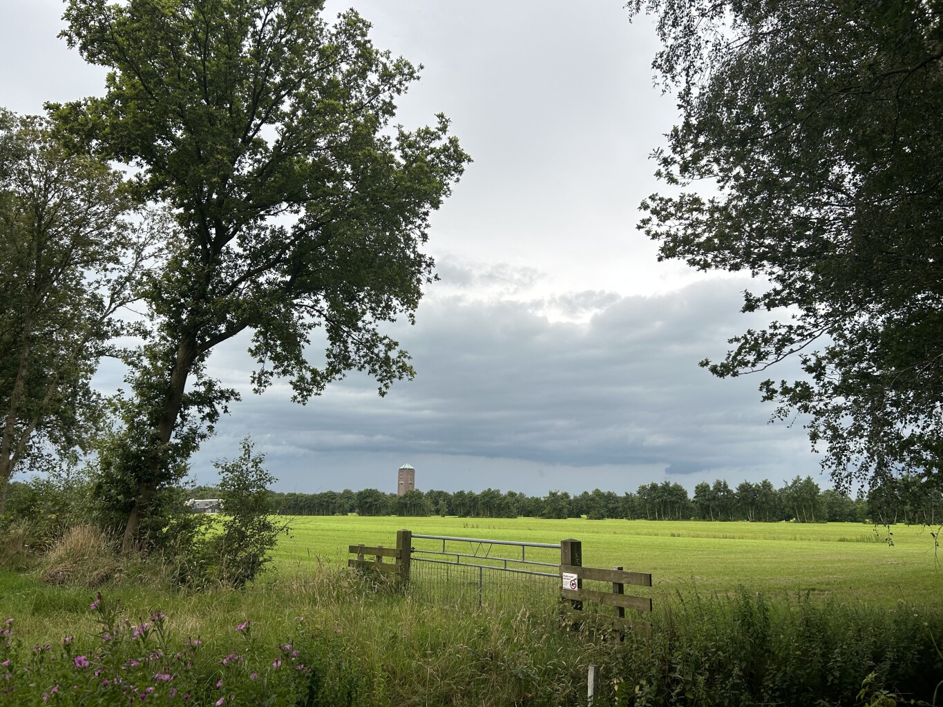 Friese Woudenpad