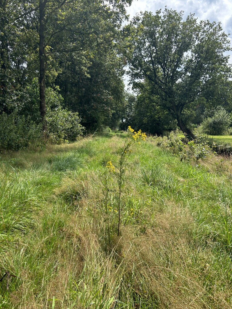 Beetsterzwaag - Sluiszicht · Friese Woudenpad etappe 8