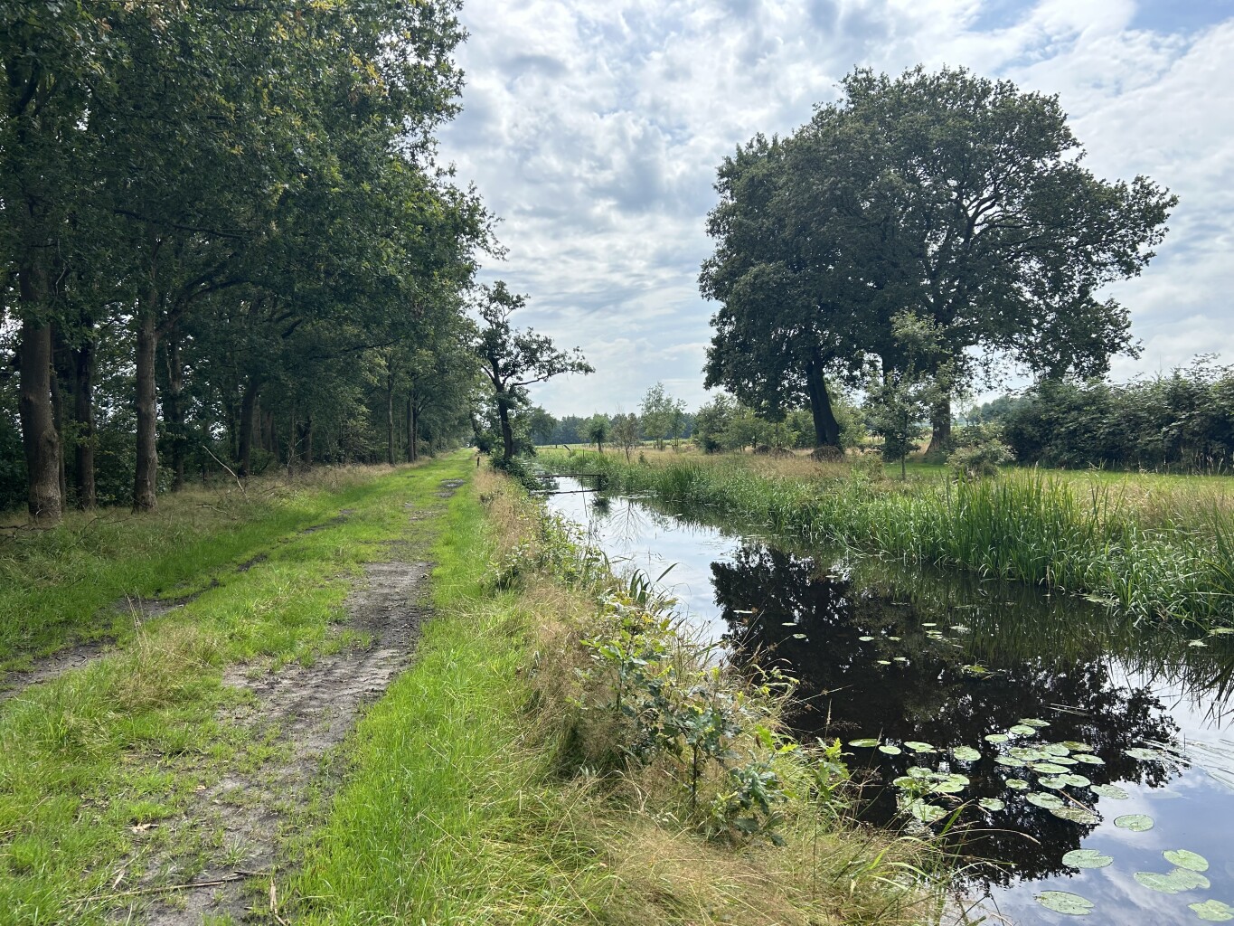 Beetsterzwaag - Sluiszicht · Friese Woudenpad etappe 8