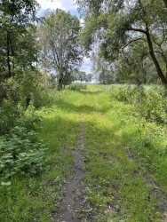 Geertruidenberg - Hooge Zwaluwe · Biesboschpad etappe 1