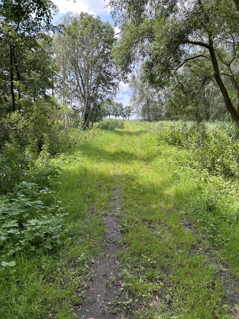Geertruidenberg - Hooge Zwaluwe · Biesboschpad etappe 1