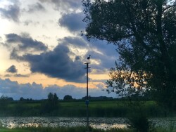 Zalk - Rood