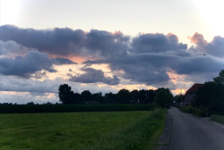 Zalk - Rood