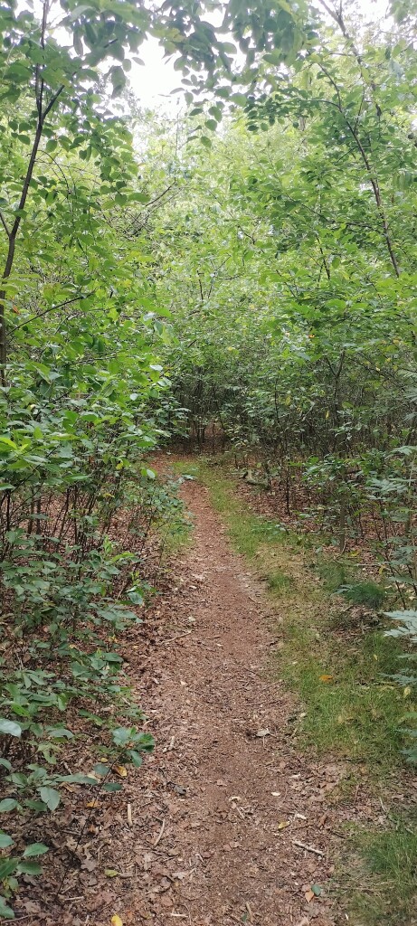 Airbornepad Market Garden - 13 · Airbornepad etappe 13