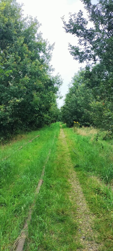 Airbornepad Market Garden - 15 · Airbornepad etappe 15