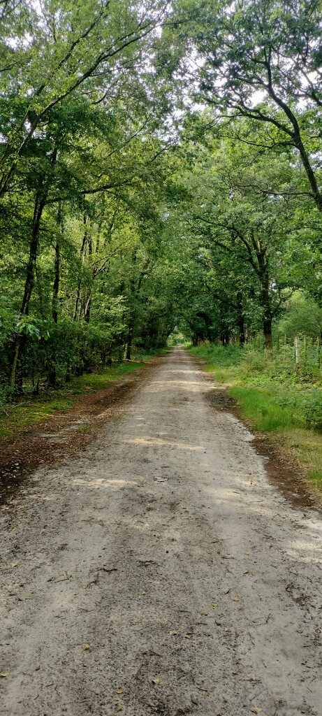 Airbornepad Market Garden - 18 · Airbornepad etappe 18