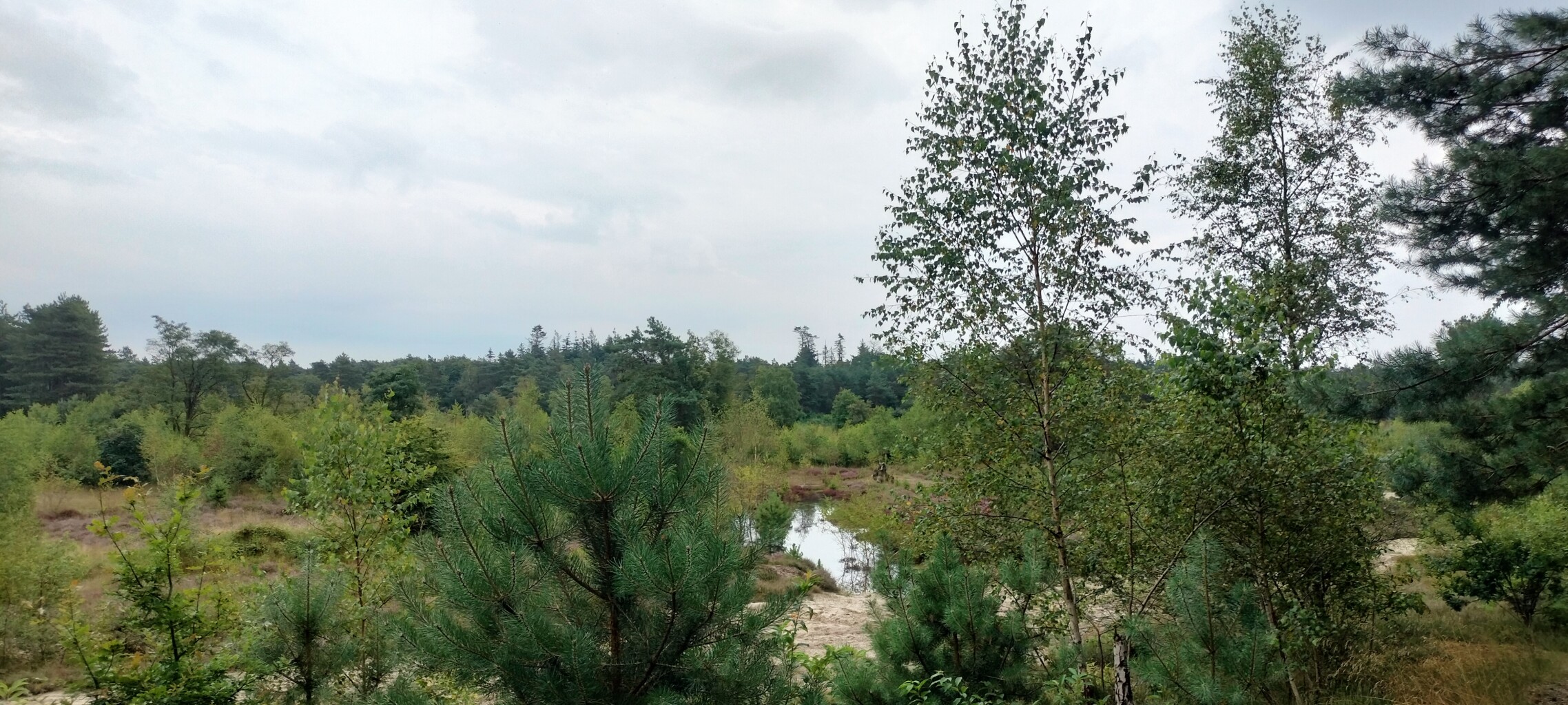 Airbornepad Market Garden - 19 · Airbornepad etappe 19