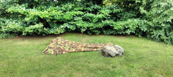 Airbornepad Market Garden - 19 · Airbornepad etappe 19