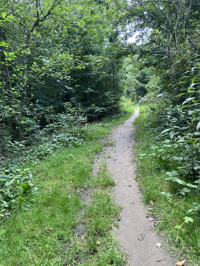 Bukken-voor-golfballetjes-route (turkoois)