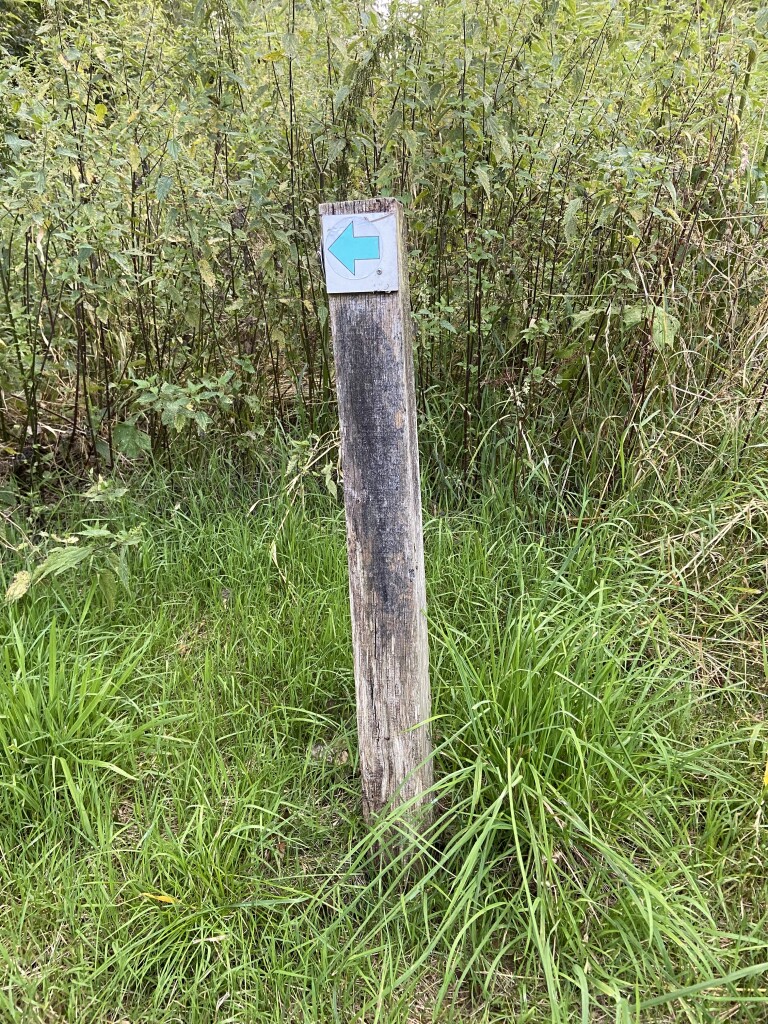 Bukken-voor-golfballetjes-route (turkoois)