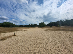 Utrechtse Heuvelrug