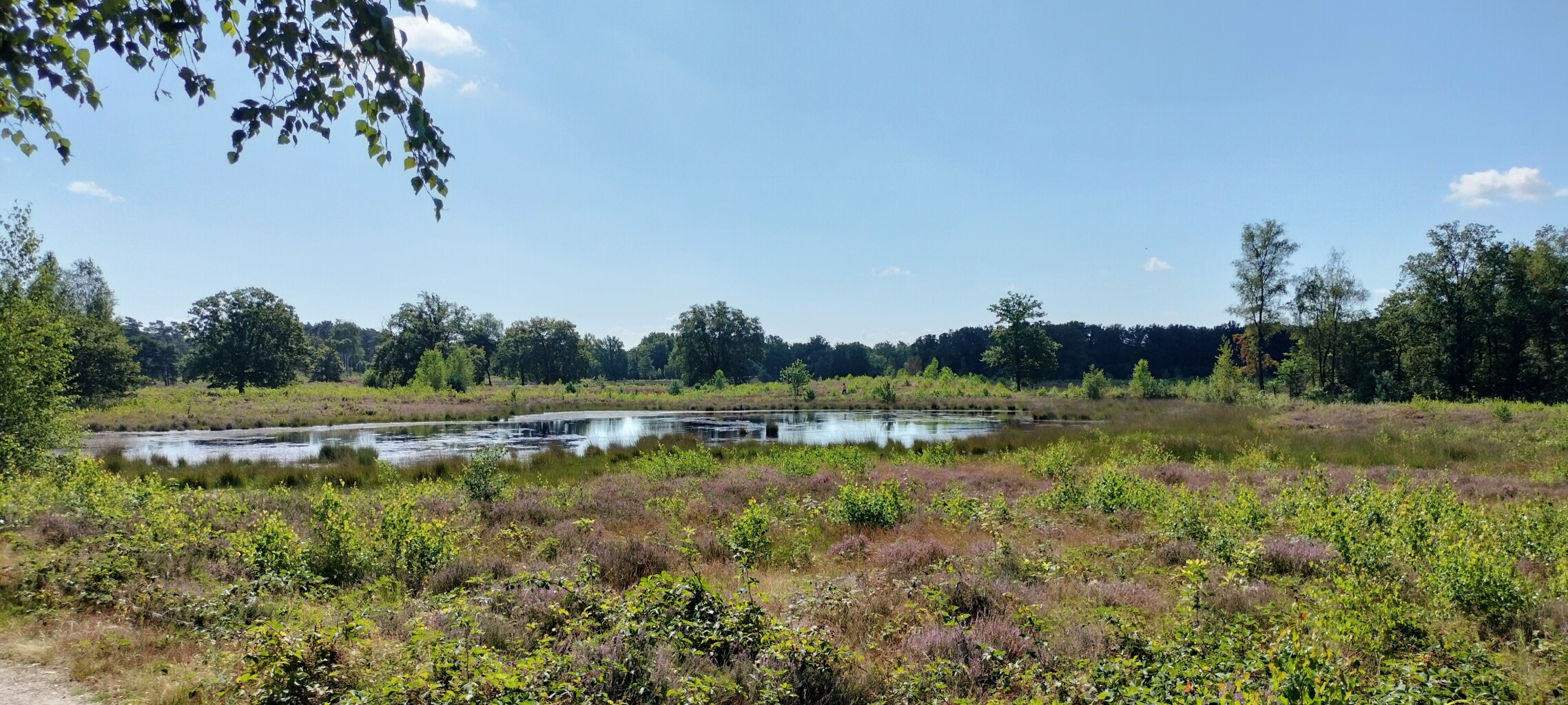 Airbornepad Market Garden - 22 · Airbornepad etappe 22