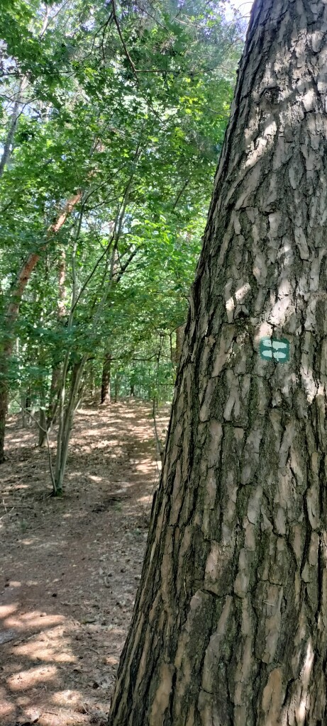 Airbornepad Market Garden - 22 · Airbornepad etappe 22