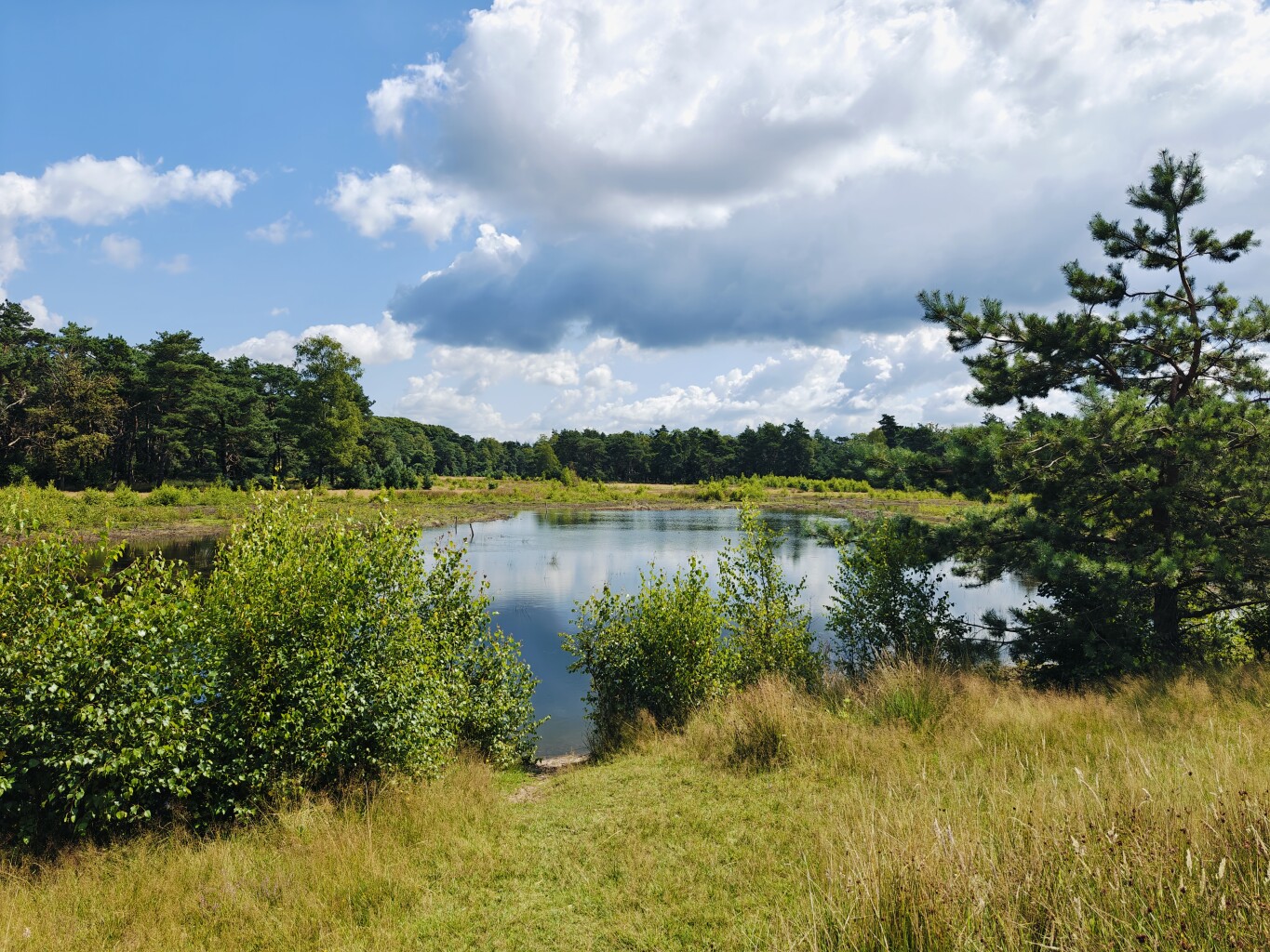 Woeste Route Salland