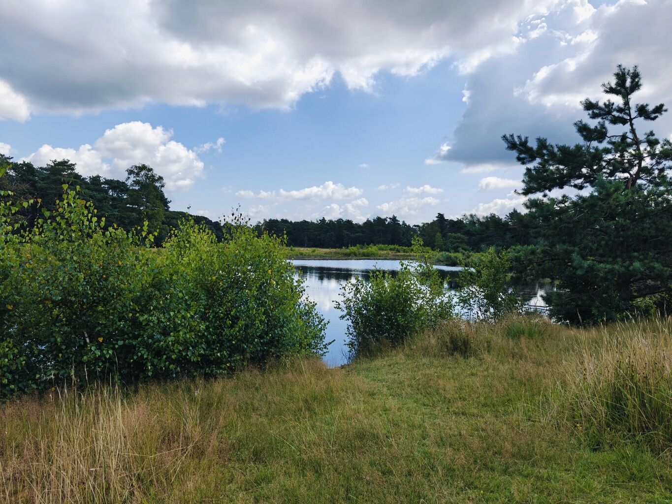 Woeste Route Salland