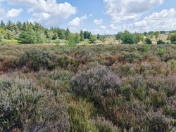Woeste Route Salland