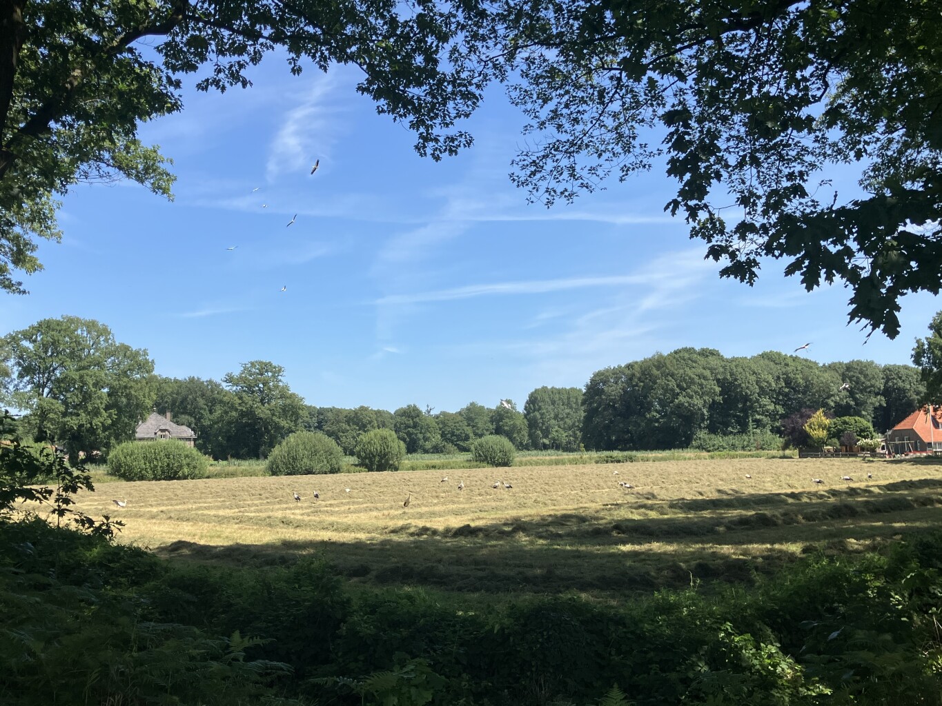 Loenen - Brummen · Trekvogelpad etappe 19