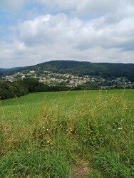 Mullerthal B15