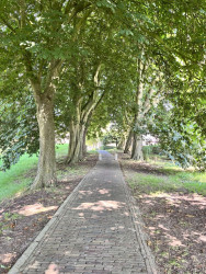 Belt-Schutsloot - Vollenhove - Blokzijl · Stellingenpad etappe 5