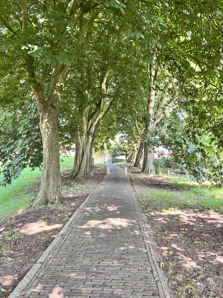 Belt-Schutsloot - Vollenhove - Blokzijl · Stellingenpad etappe 5