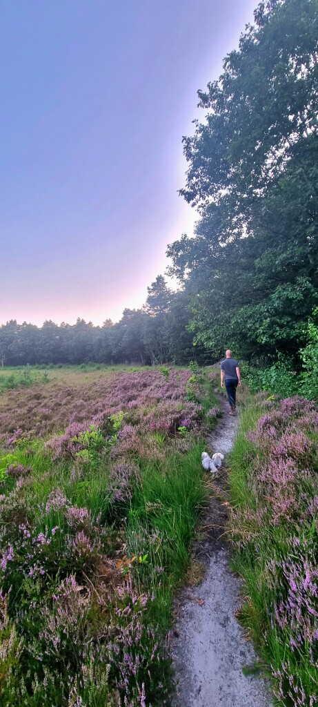 De Kiel - Schoonoord · Cultuurpad Coevorden etappe 11