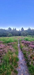 De Kiel - Schoonoord · Cultuurpad Coevorden etappe 11