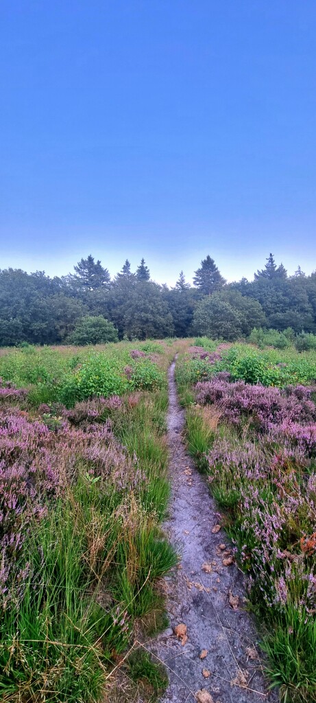De Kiel - Schoonoord · Cultuurpad Coevorden etappe 11